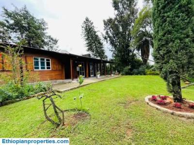 Gorgeous Wooden House for Rent in Addis Ababa