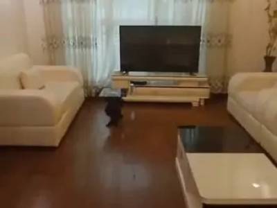 Modern G+2 House For Rent in Hayarat,Addis Ababa Ethiopia
