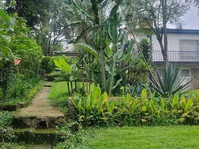 Garden Paradise Home -- Old Airport