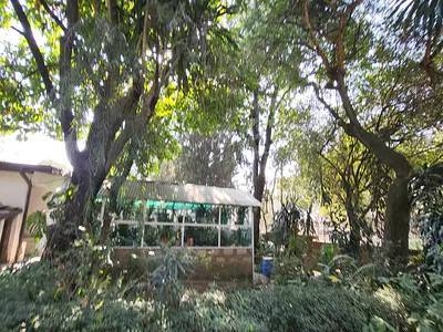 3 Bed Rooms Unique Forest-Style Green Residence