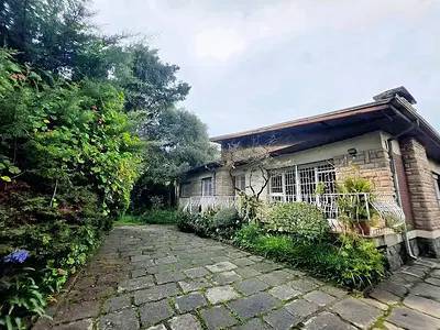 Charming Garden Villa in Kazanchis